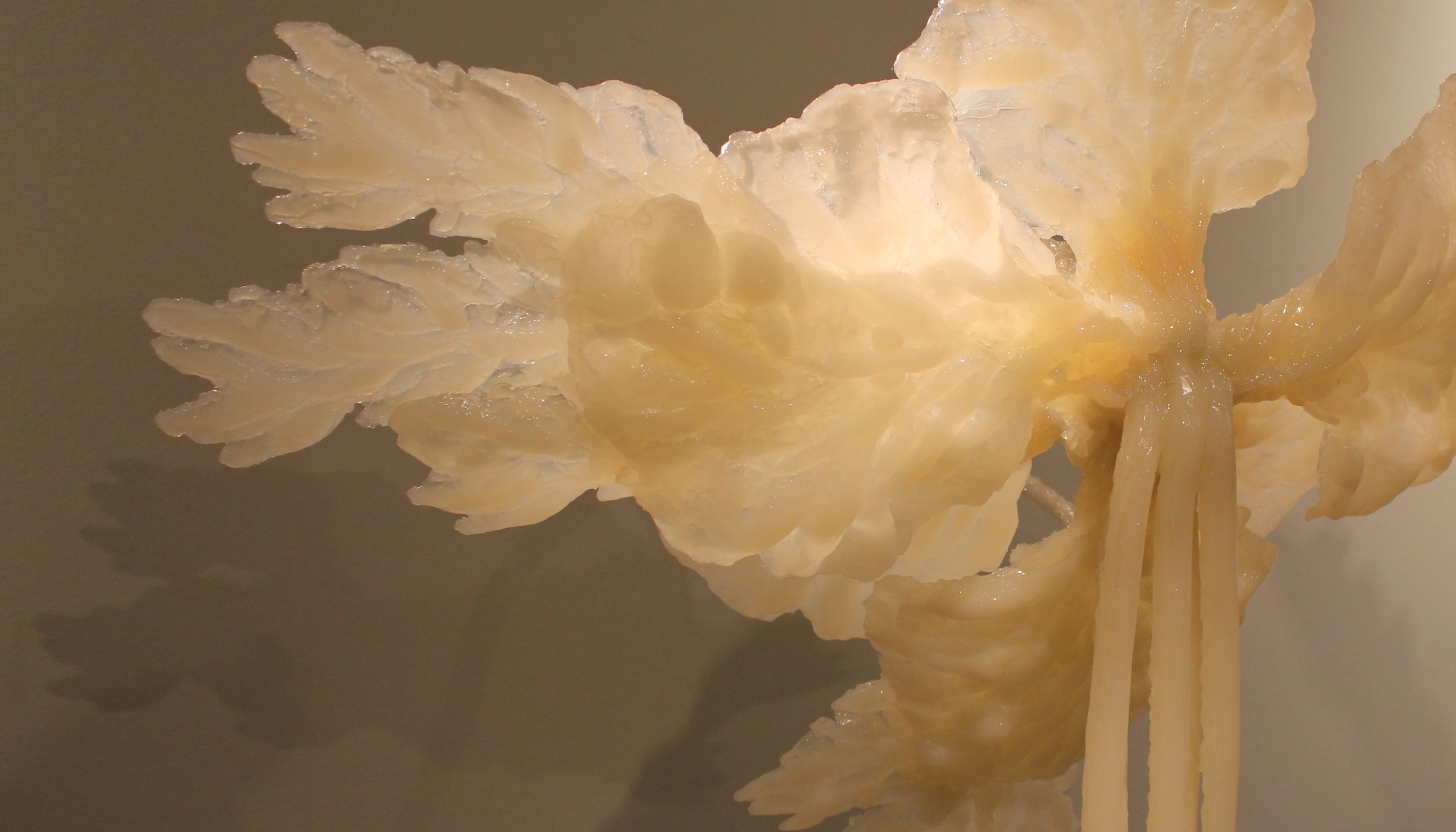 Fucoid Arrangement No. 2 (detail)