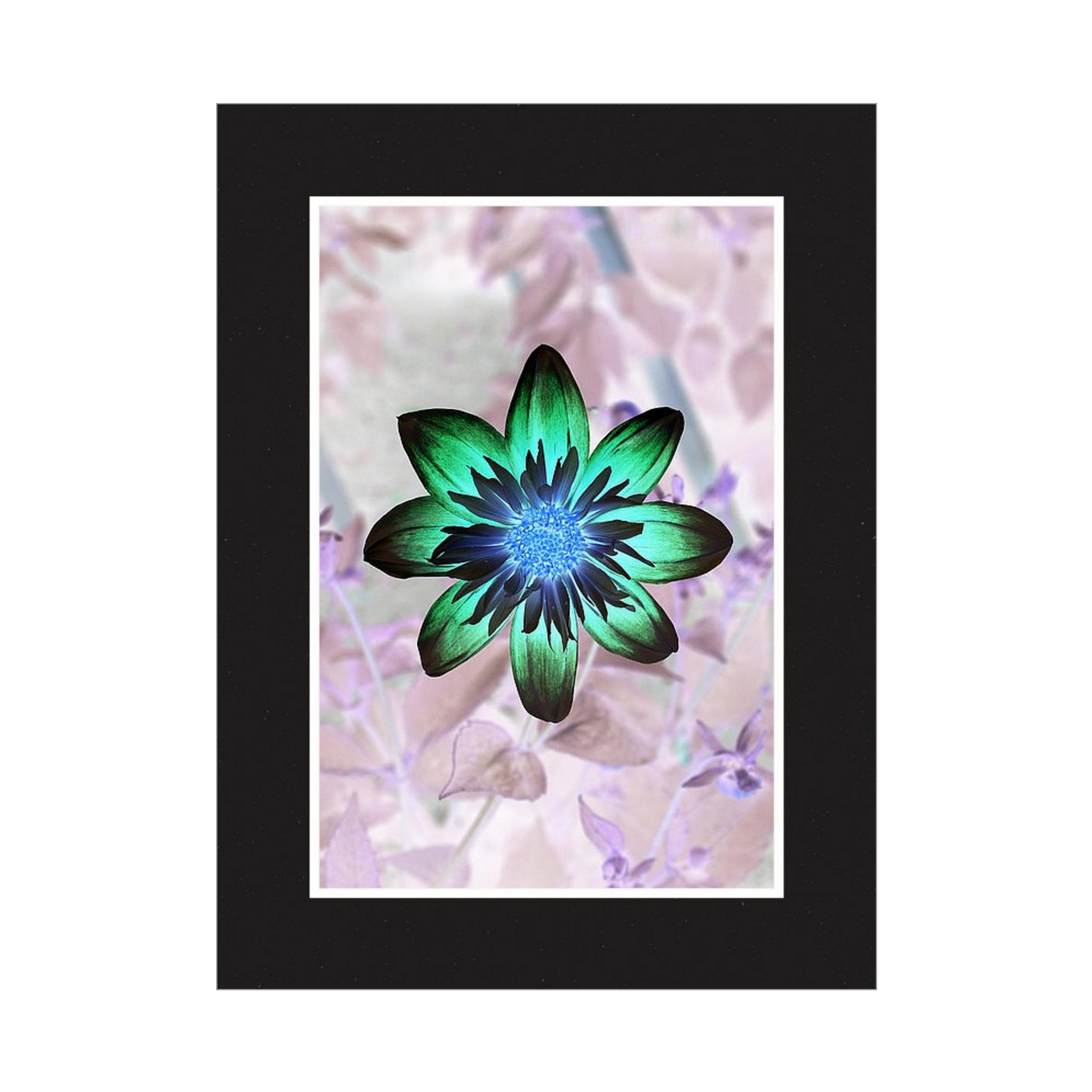 Screen Shot 2016-02-23 at 8.05.27 pm.png