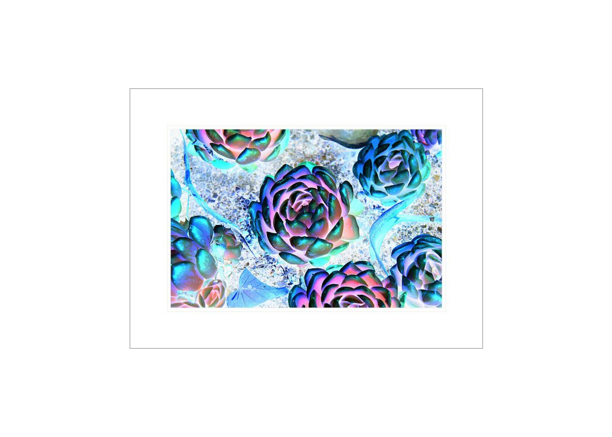 Screen Shot 2016-02-23 at 8.28.10 pm.png