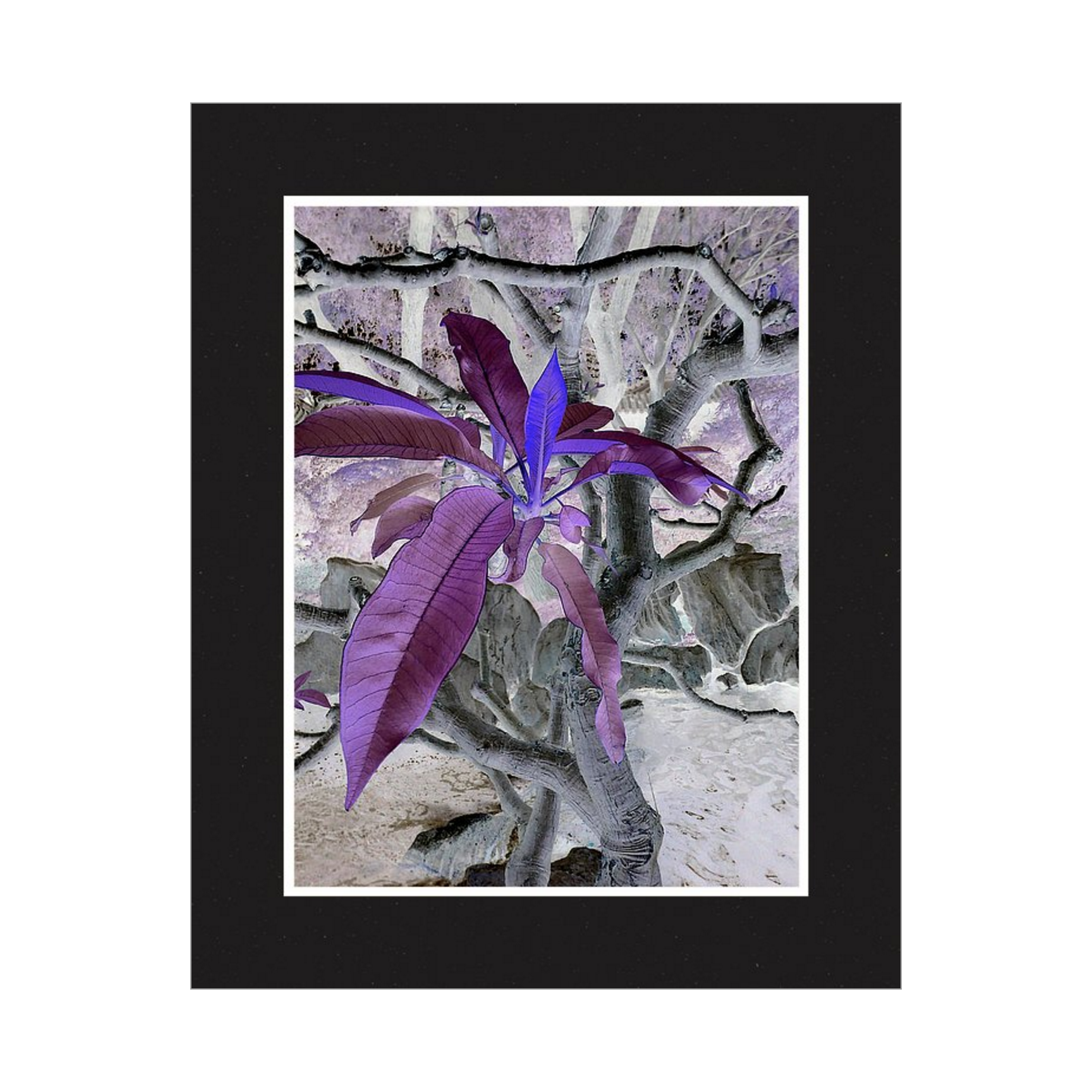 Screen Shot 2016-02-23 at 9.05.38 pm.png