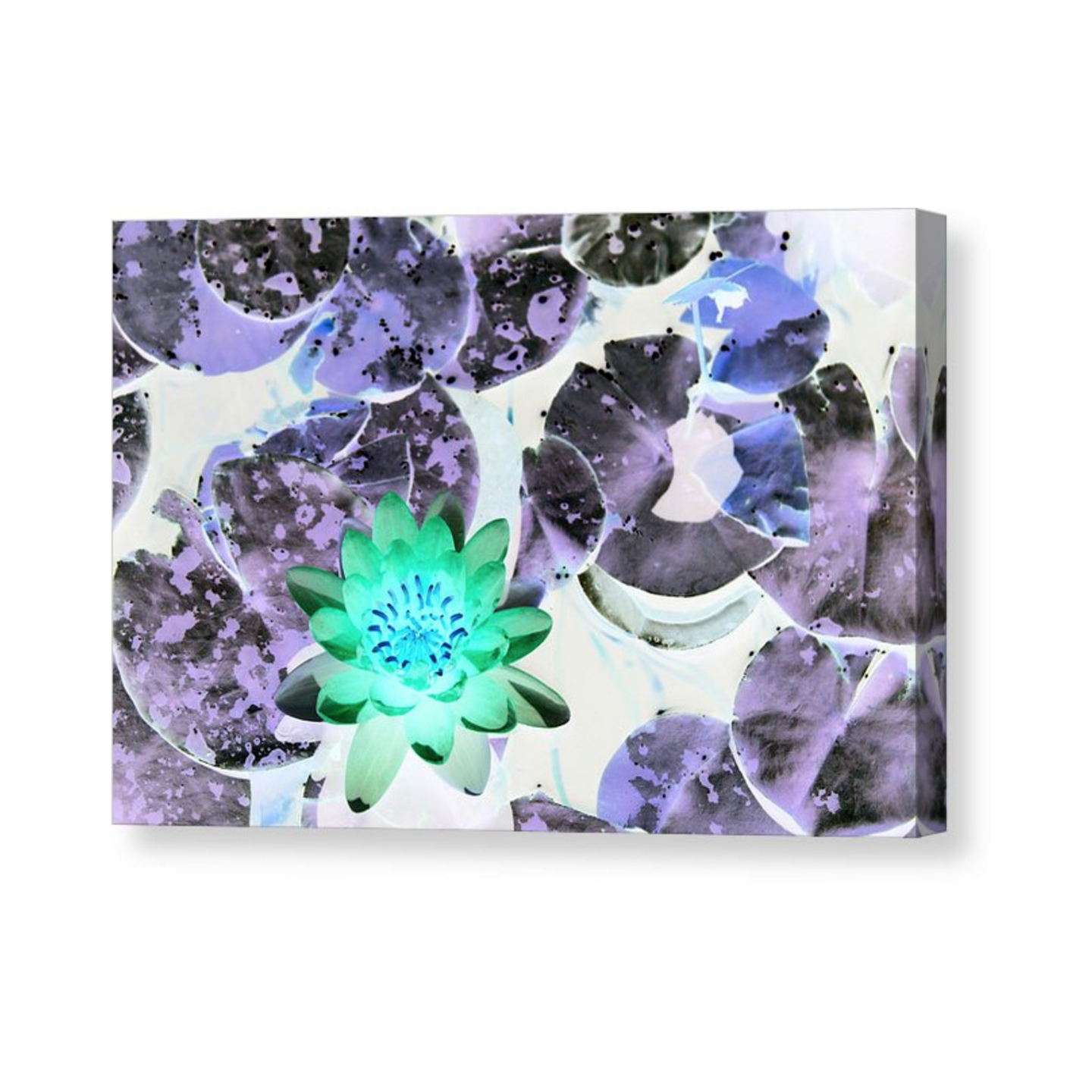 Screen Shot 2016-02-25 at 8.49.47 pm.png