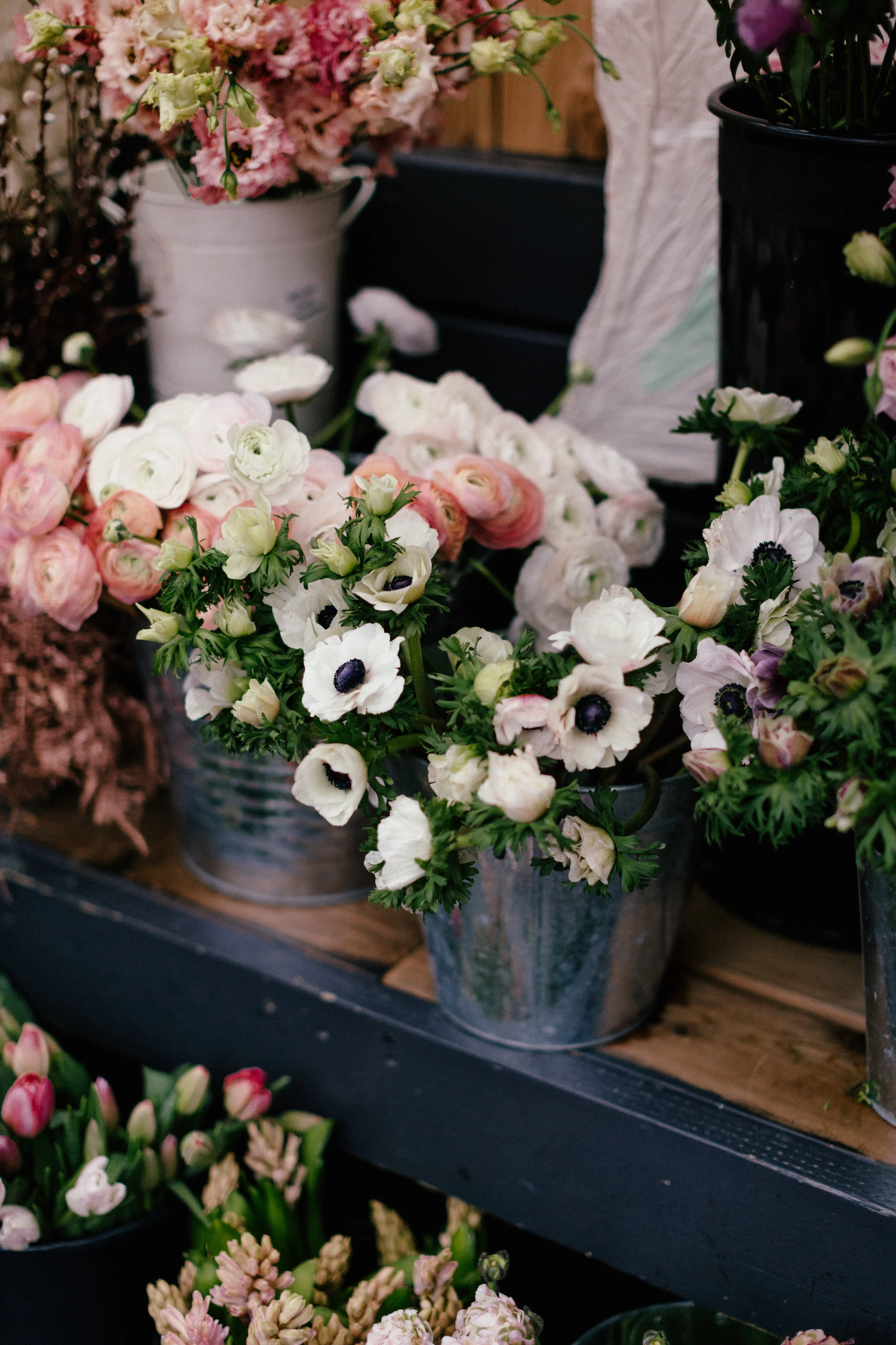 photography: christine lim