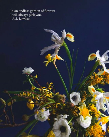photography: ursha rajah