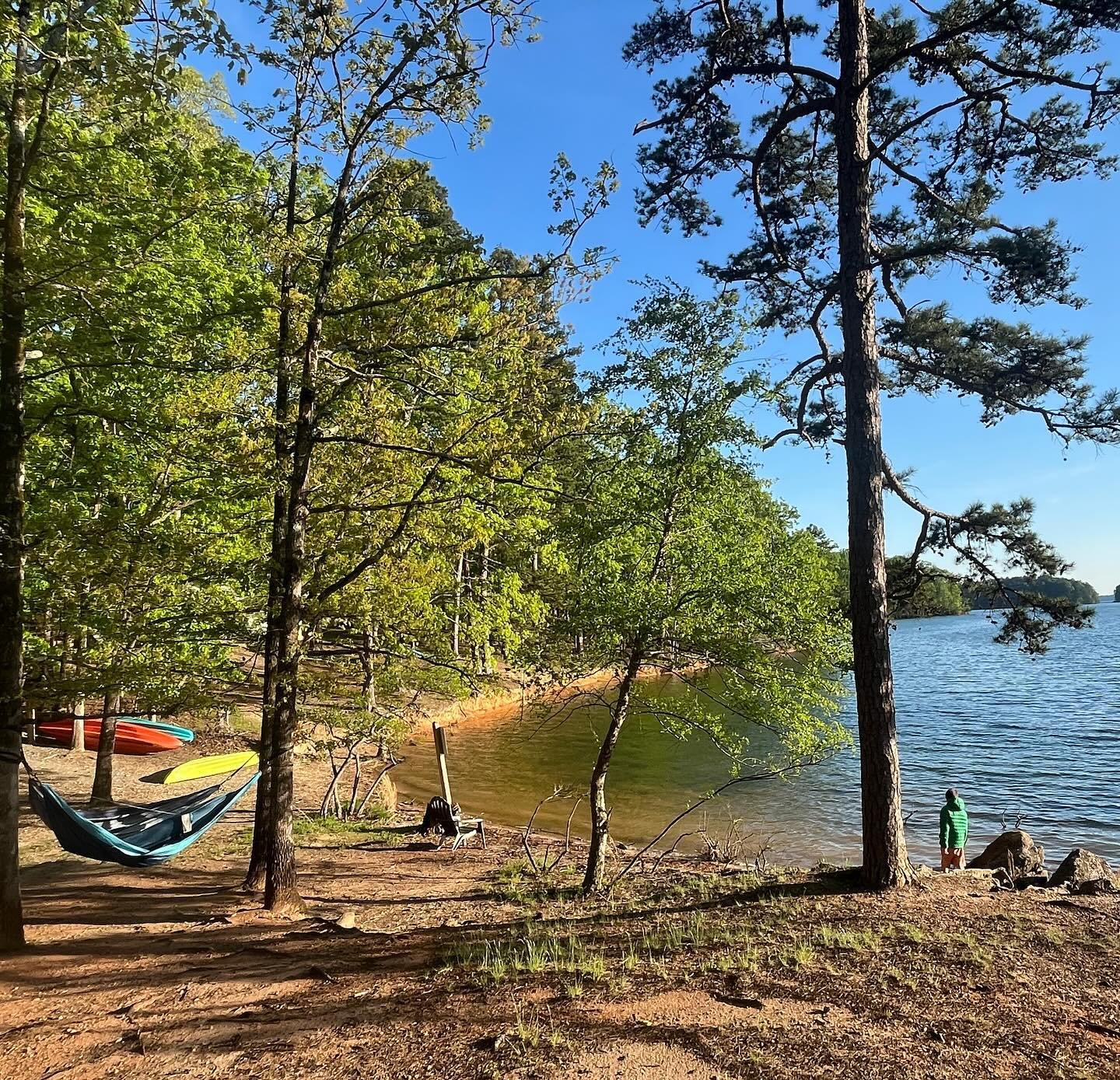 Georgia is blowing our minds. Great place for a family holiday.