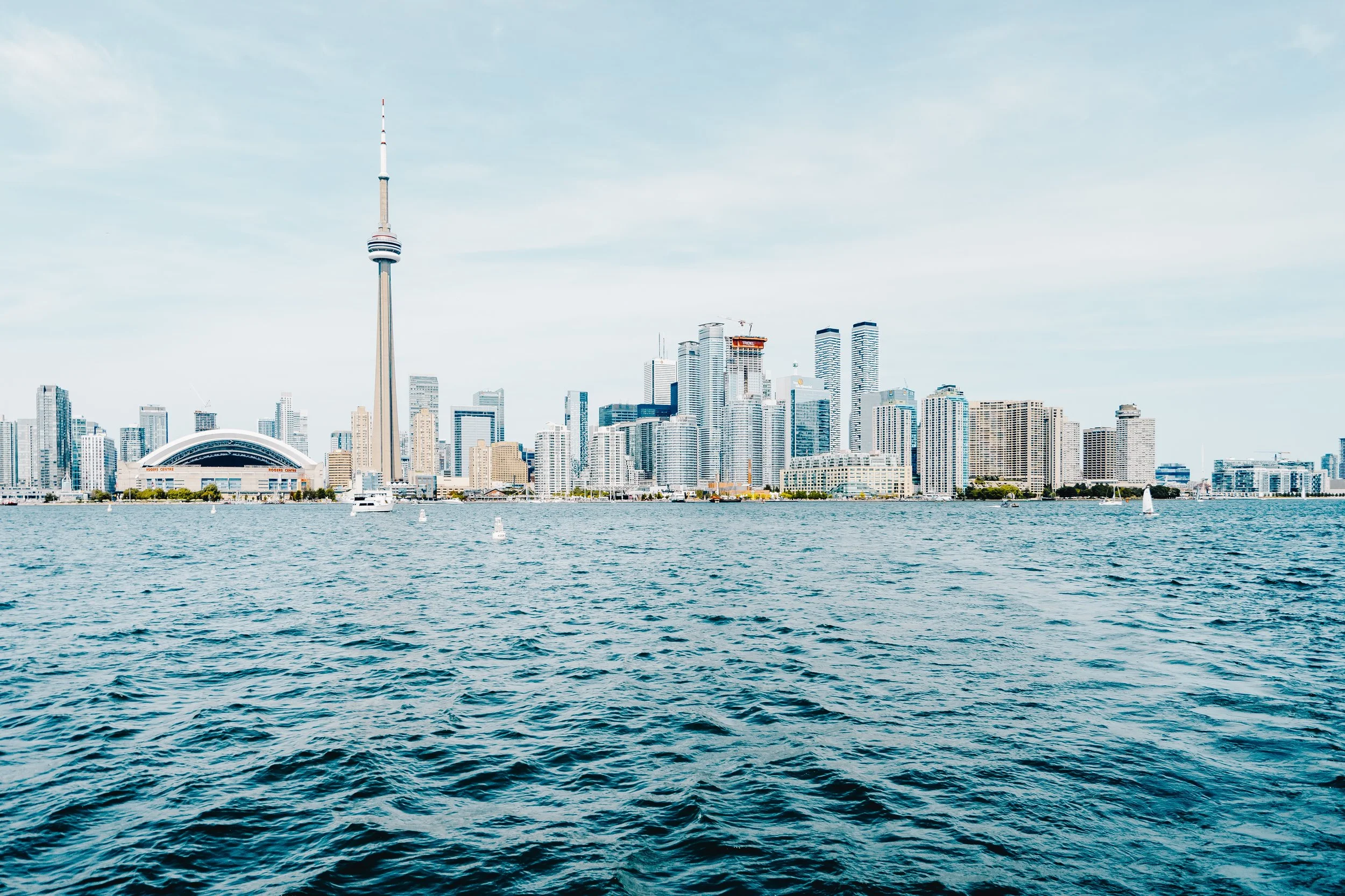 scott-webb-403889-unsplash.jpg