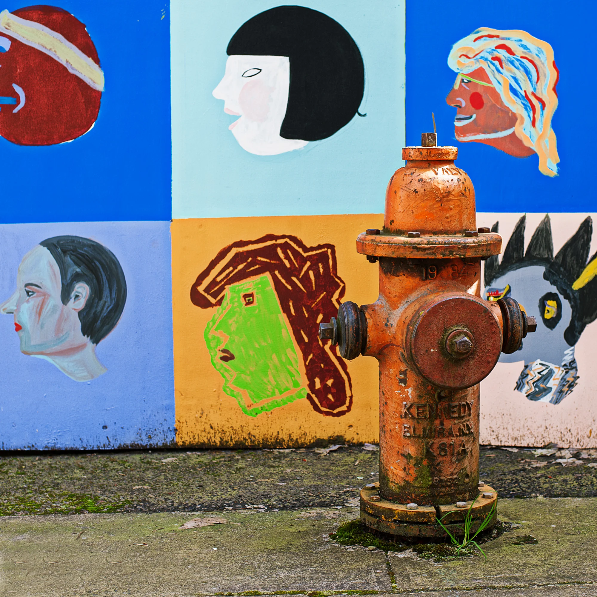 Hydrant Art (1 of 1).jpg