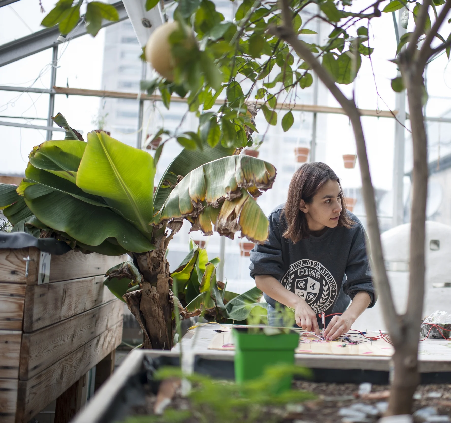 _DSC2809 as Smart Object-1.jpg