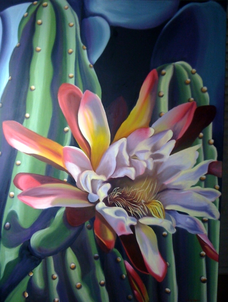 Bloom on Cactus