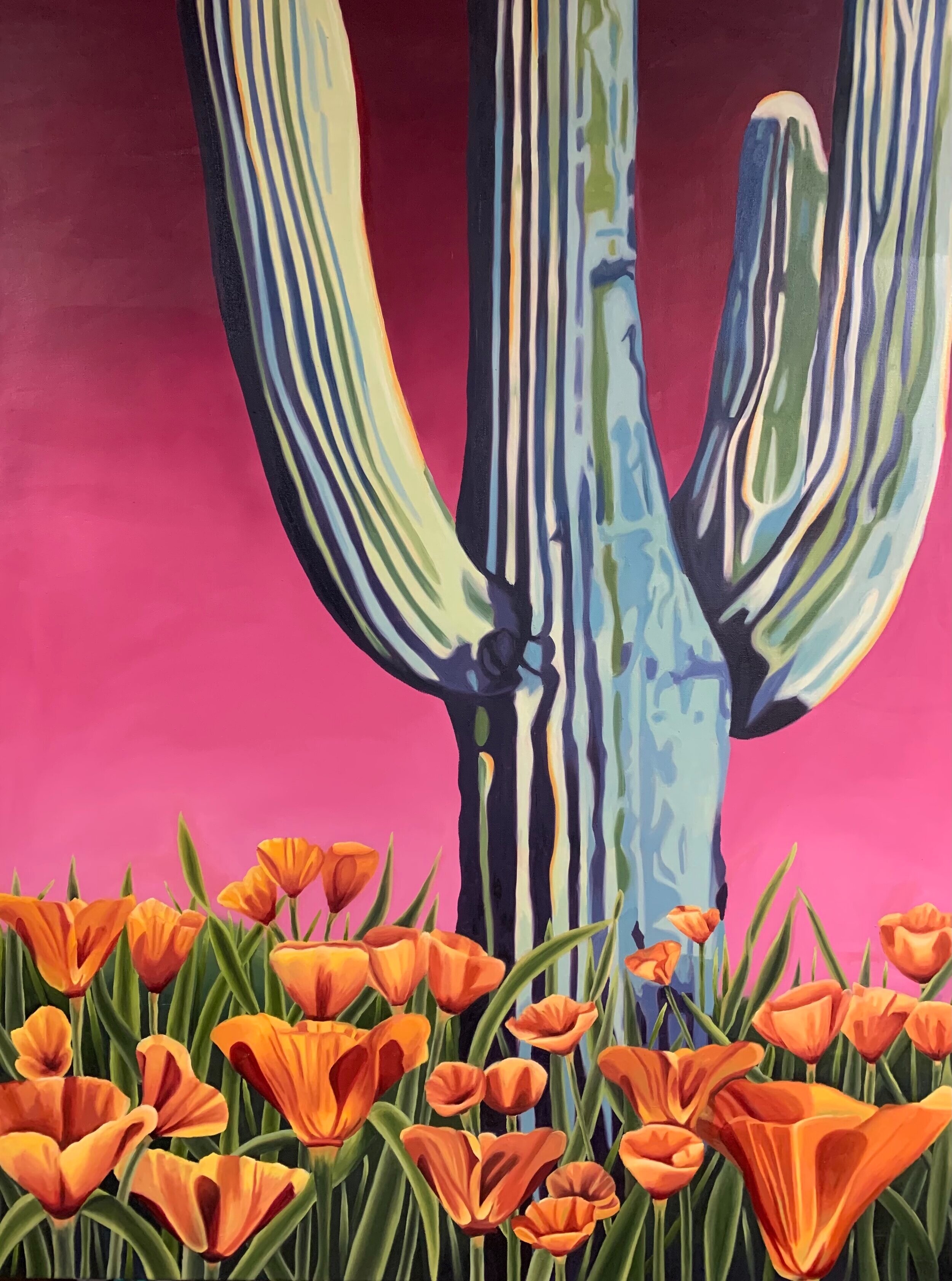 Saguaro With Blooms