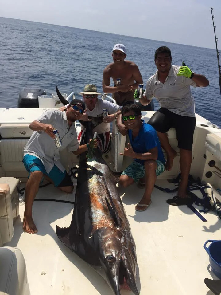 MARLIN .jpg