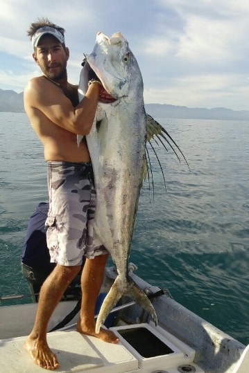 Monster Roosterfish