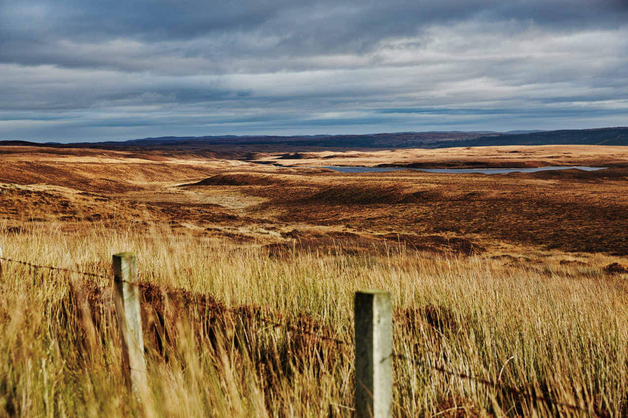 Scotland - Audi