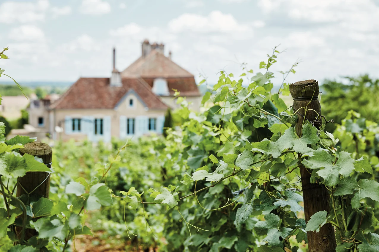 Burgundy_Summer_006.jpg