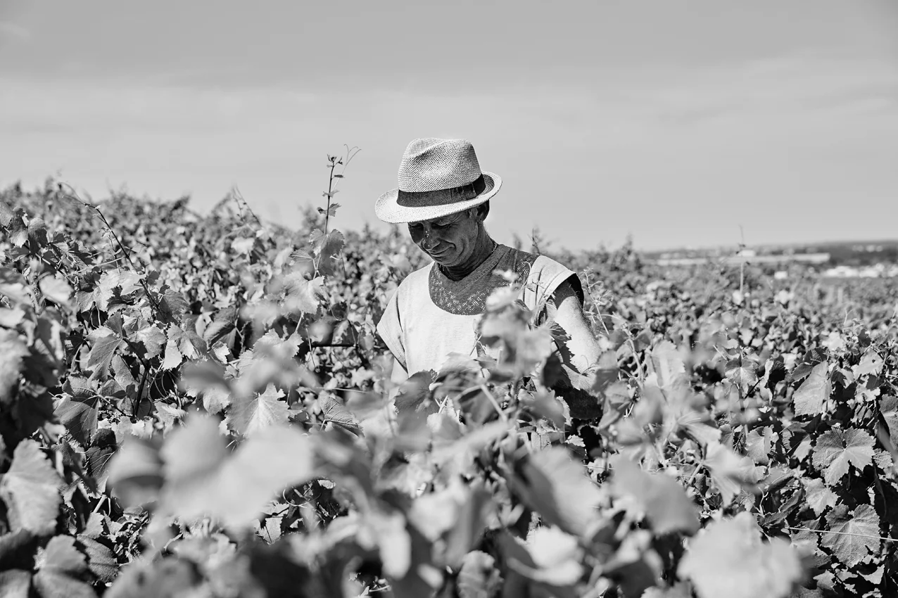 Burgundy_Summer_228.jpg