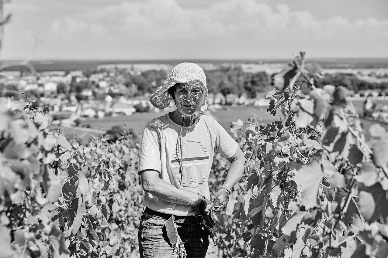 Burgundy_Summer_231.jpg