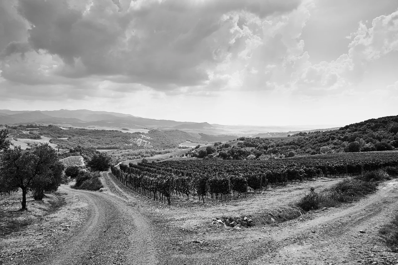 Tuscany_079.jpg