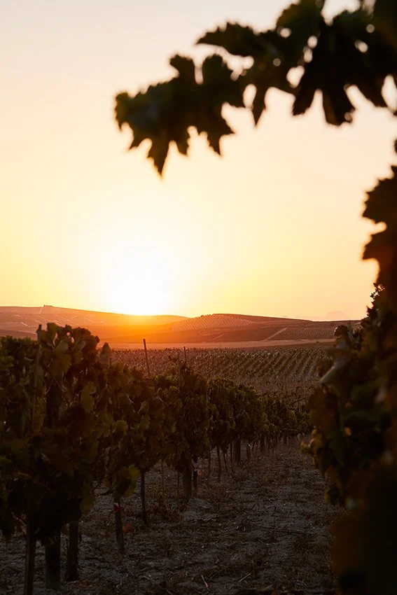 Alberto Orte Agosto 2023_154.jpg