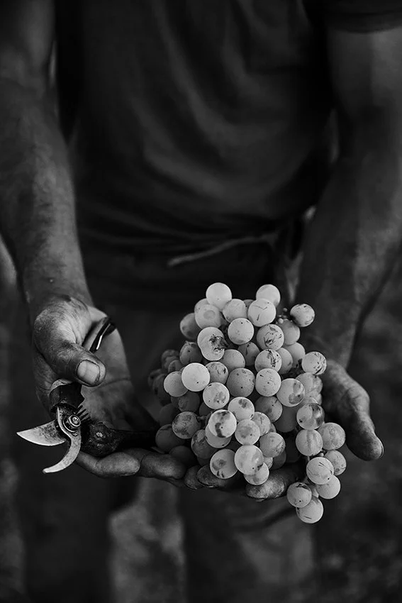 Alberto Orte Agosto 2023_088.jpg