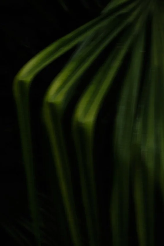 Madrid in summer - personal