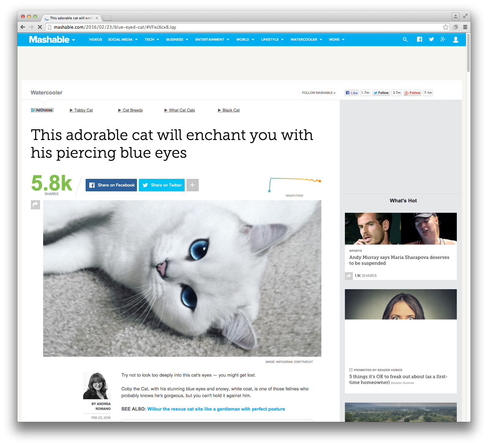 Screen+Shot+2016-03-11+at+11.32.37+AM.png