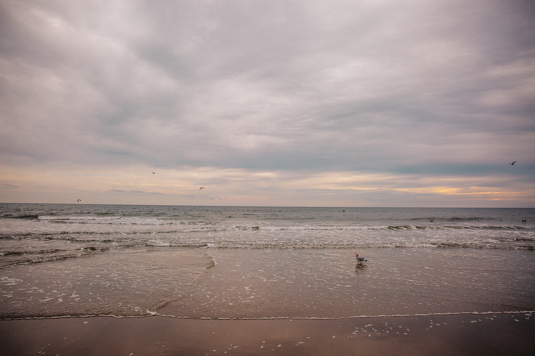 An Unreasonable & Totally Worth It Road Trip