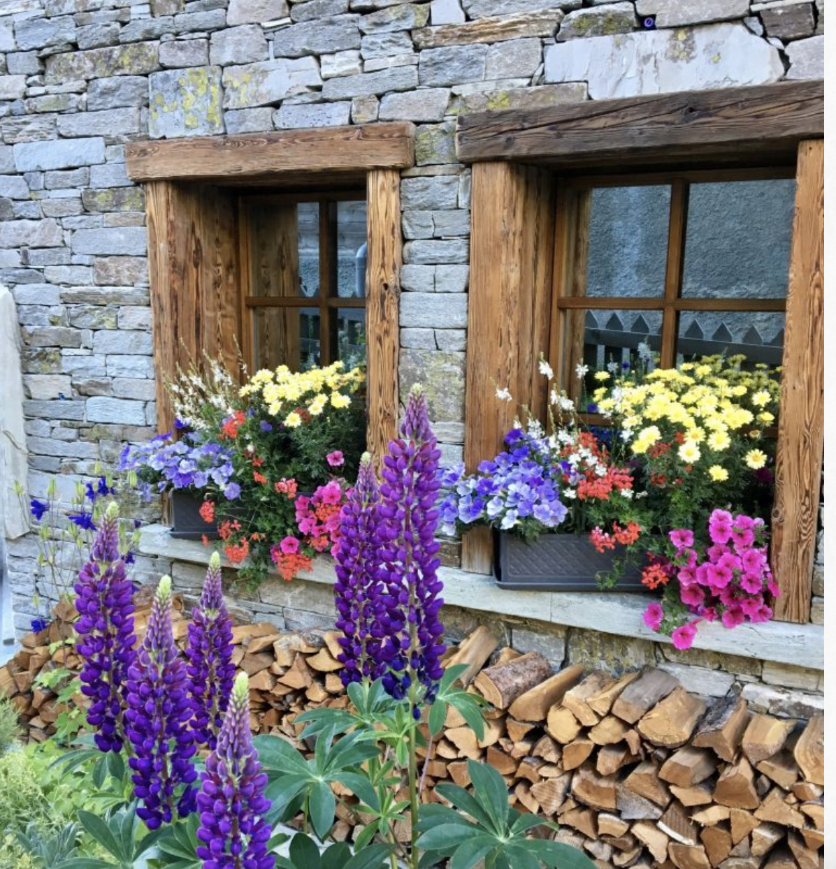 Alpine flowers and charming window boxes