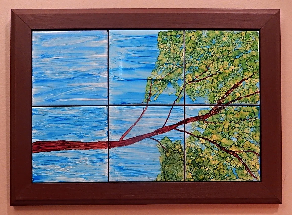 DSCN2779.jpg