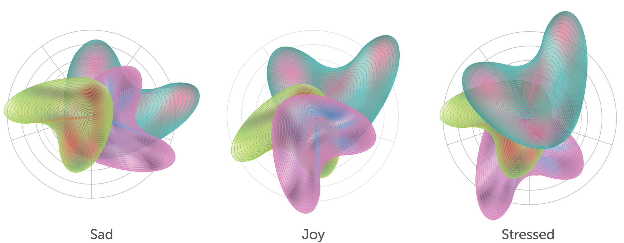 Asjjjset 1.png