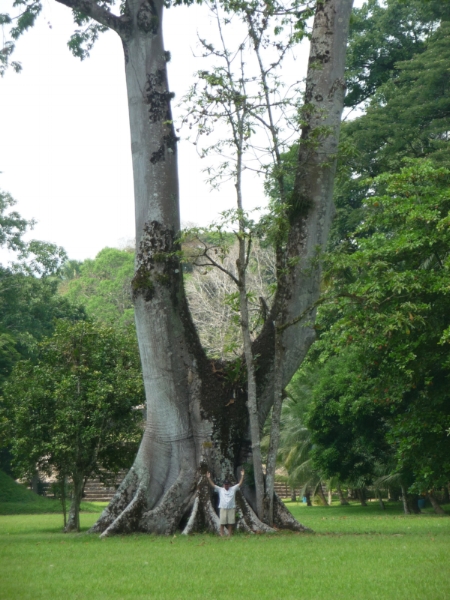 Guatamala