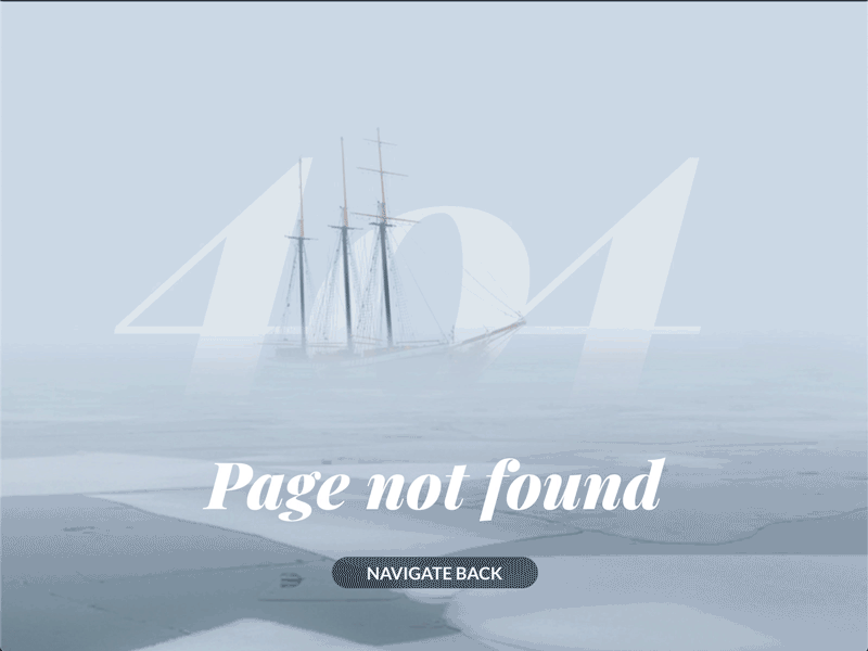 404 Page