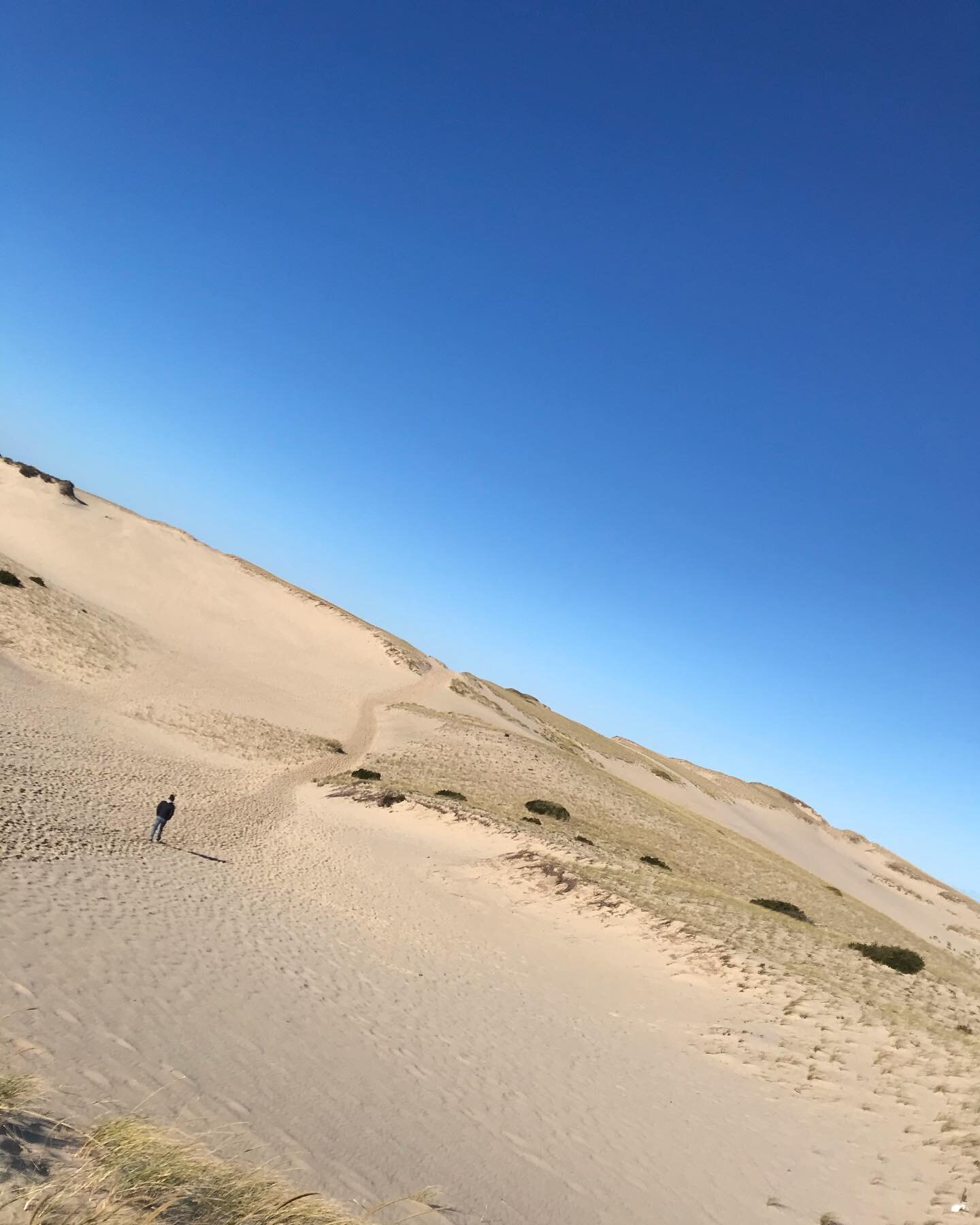 sand dunes and cranberry picking