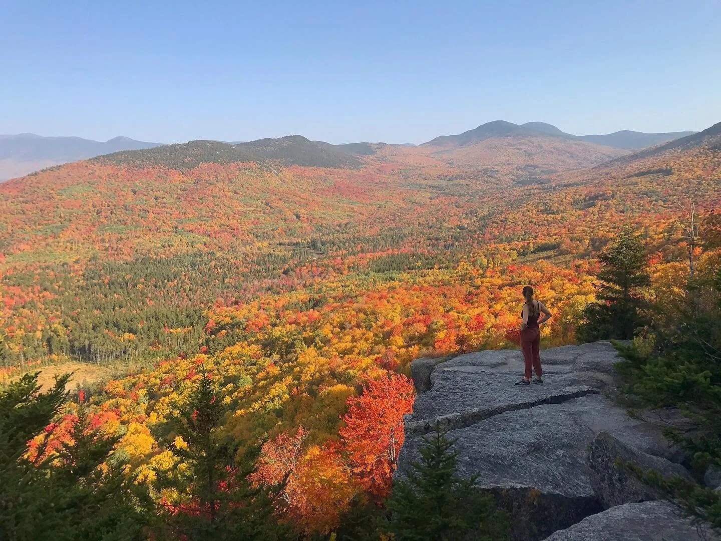 image-asset (7).jpeg