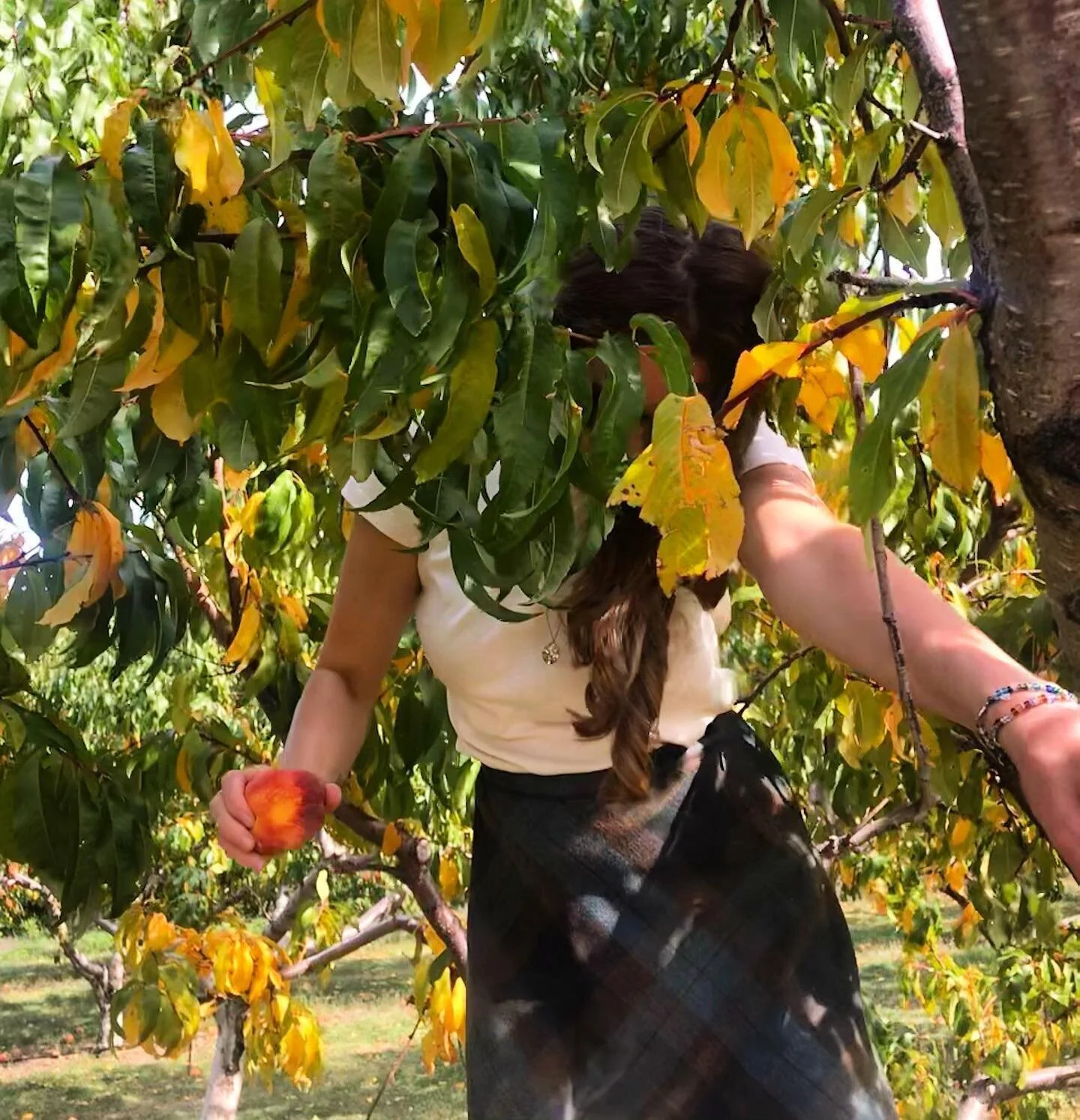 image-asset (9).jpeg