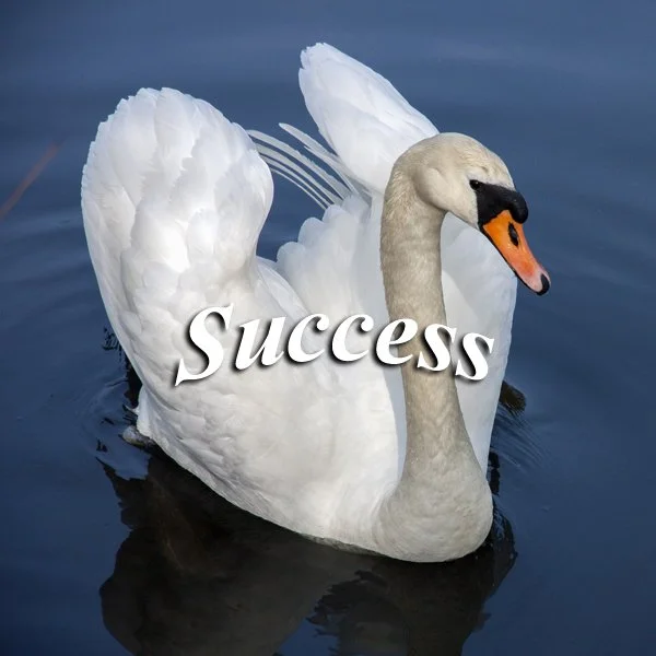 Success -A Spiritual Story