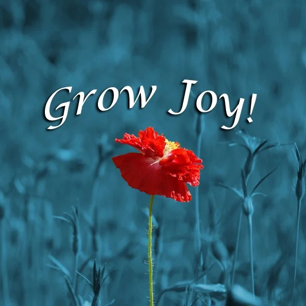 Grow Joy - A Spiritual Story