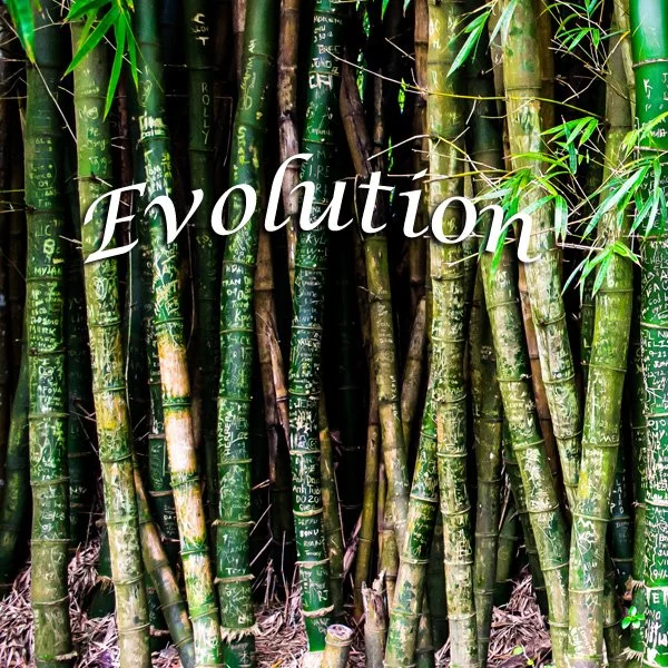 Evolution - What a Great Subject
