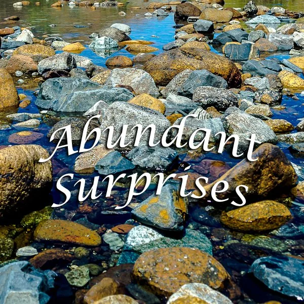 Abundance Newsletter