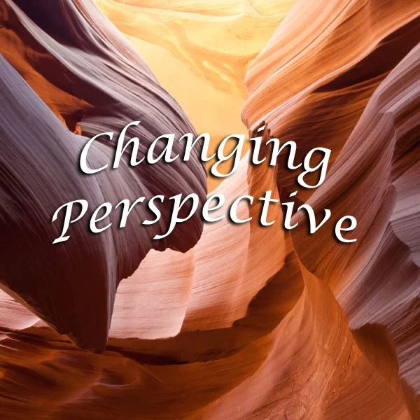 Changing Perspective Newslwtter