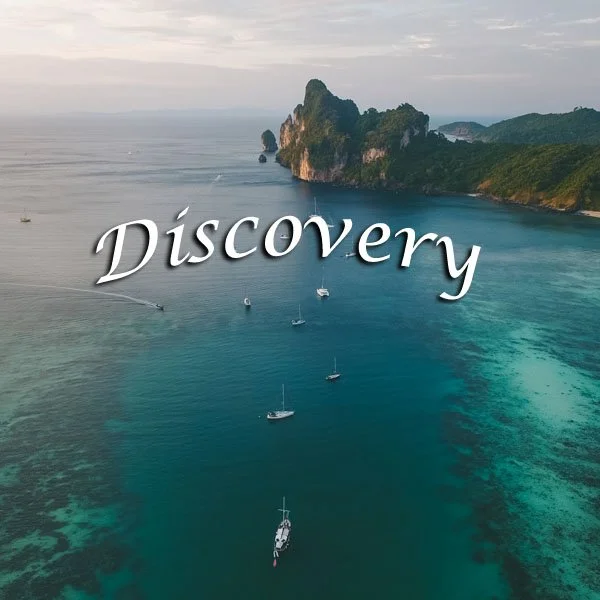 Discovery Newsletter