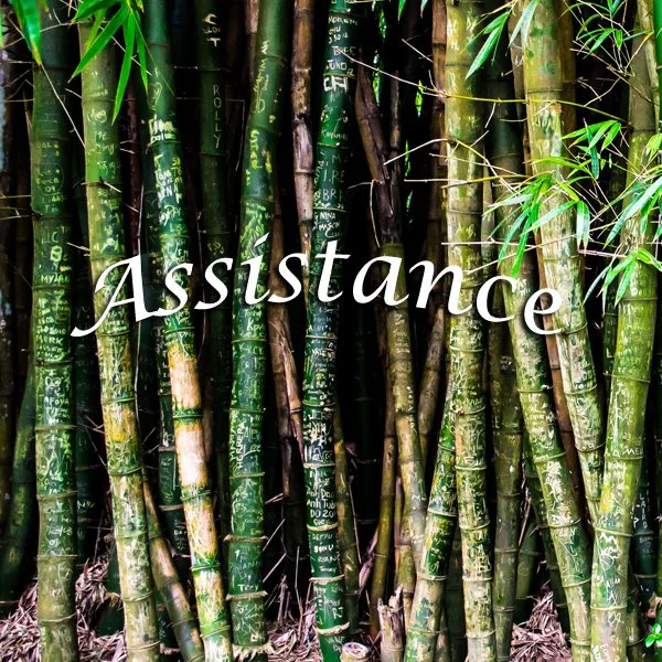 Assistance Newsletter