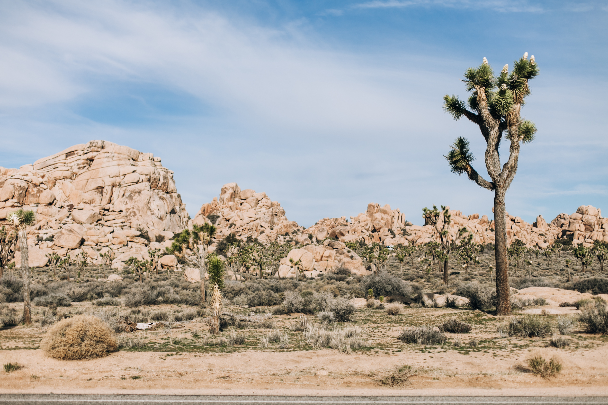 Joshua Tree Maternity Photographer, Joshua Tree Family Photographer, Joshua Tree Photographer, Joshua Tree Portrait Photographer, JTree Maternity Photographer, SoCal Family Photographer, Joshua Tree