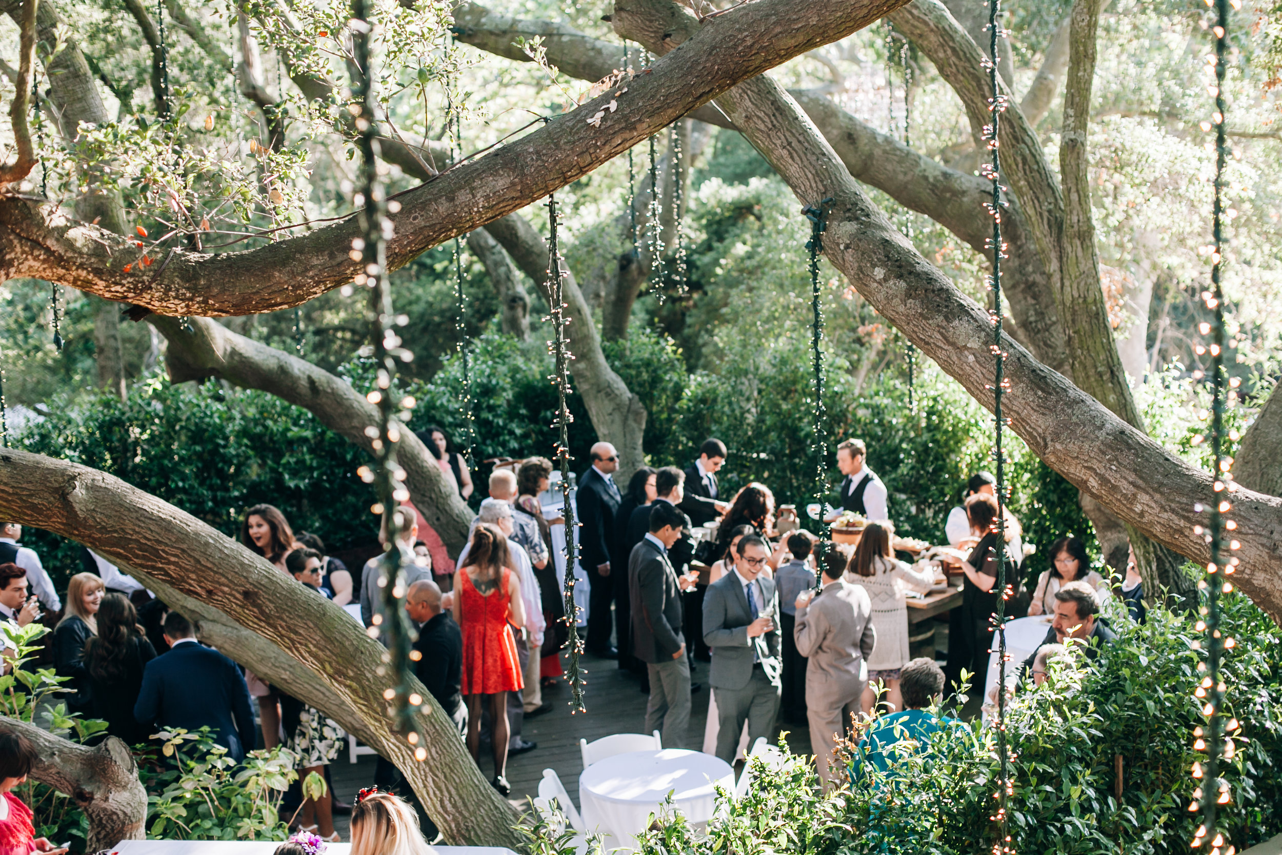 Malibu wedding photographer, SoCal wedding photographer, Southern California wedding photographer, Los Angeles wedding photographer, LA wedding photographer, Calamigos Wedding, Calamigos Oaks Room