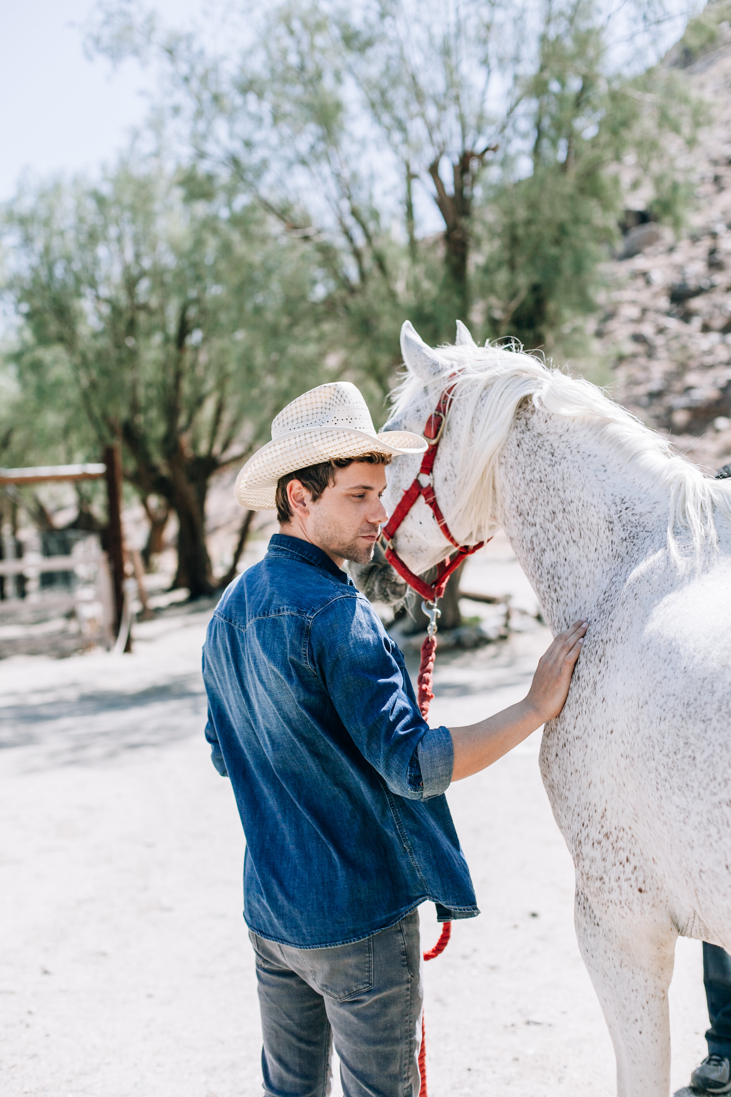 Palm Springs Elopement Photographer, Palm Springs Wedding Photographer, Palm Springs Photographer, Joshua Tree Elopement Photographer, SoCal Elopement Photographer, Palm Springs, Joshua Tree