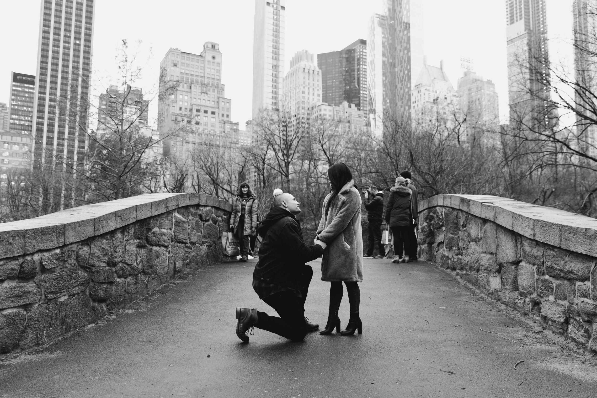 New York City Proposal, Central Park Proposal, NY Proposal Photographer, New York Proposal Photographer, NYC Engagement Photographer, New York Engagement Session, Central Park Proposal Photographer