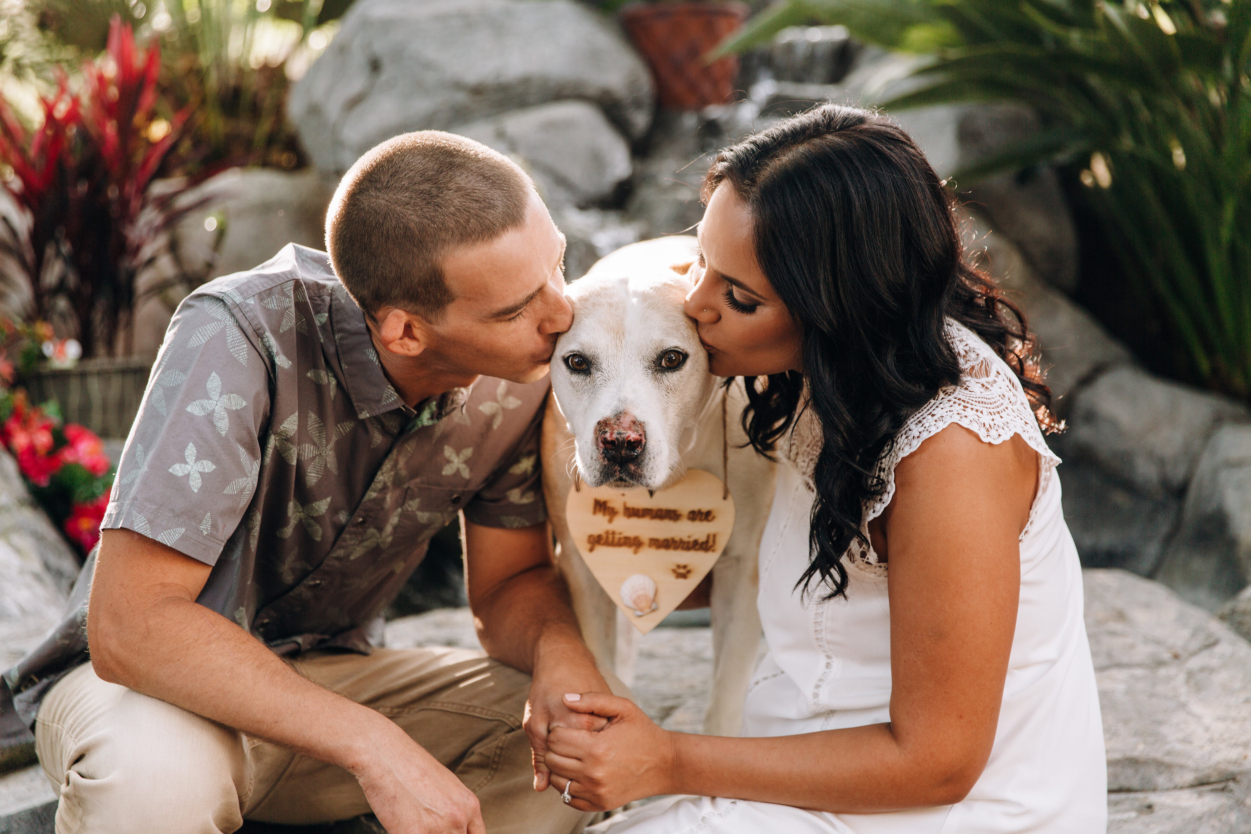 Orange County Photographer, OC Photographer, Orange County Engagement Session, San Juan Engagement session, In N Out engagement session, Southern California Photographer, SoCal Engagement Photographer