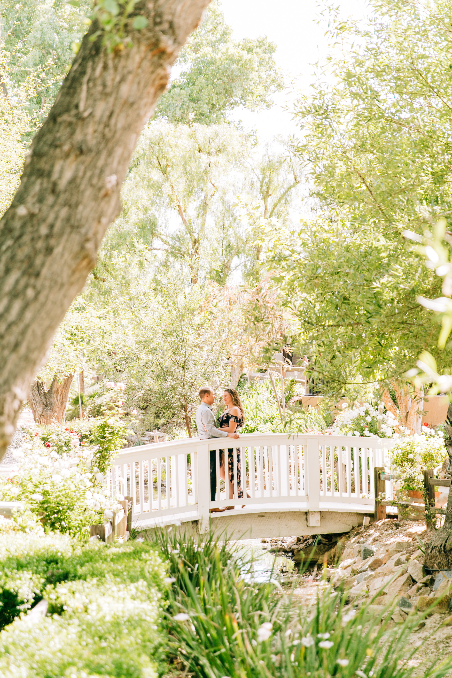 Temecula engagement photographer, SoCal wedding photographer, Southern California engagement photographer, Wilson Creek Winery engagement photographer, Wilson Creek engagement shoot, Temecula shoot