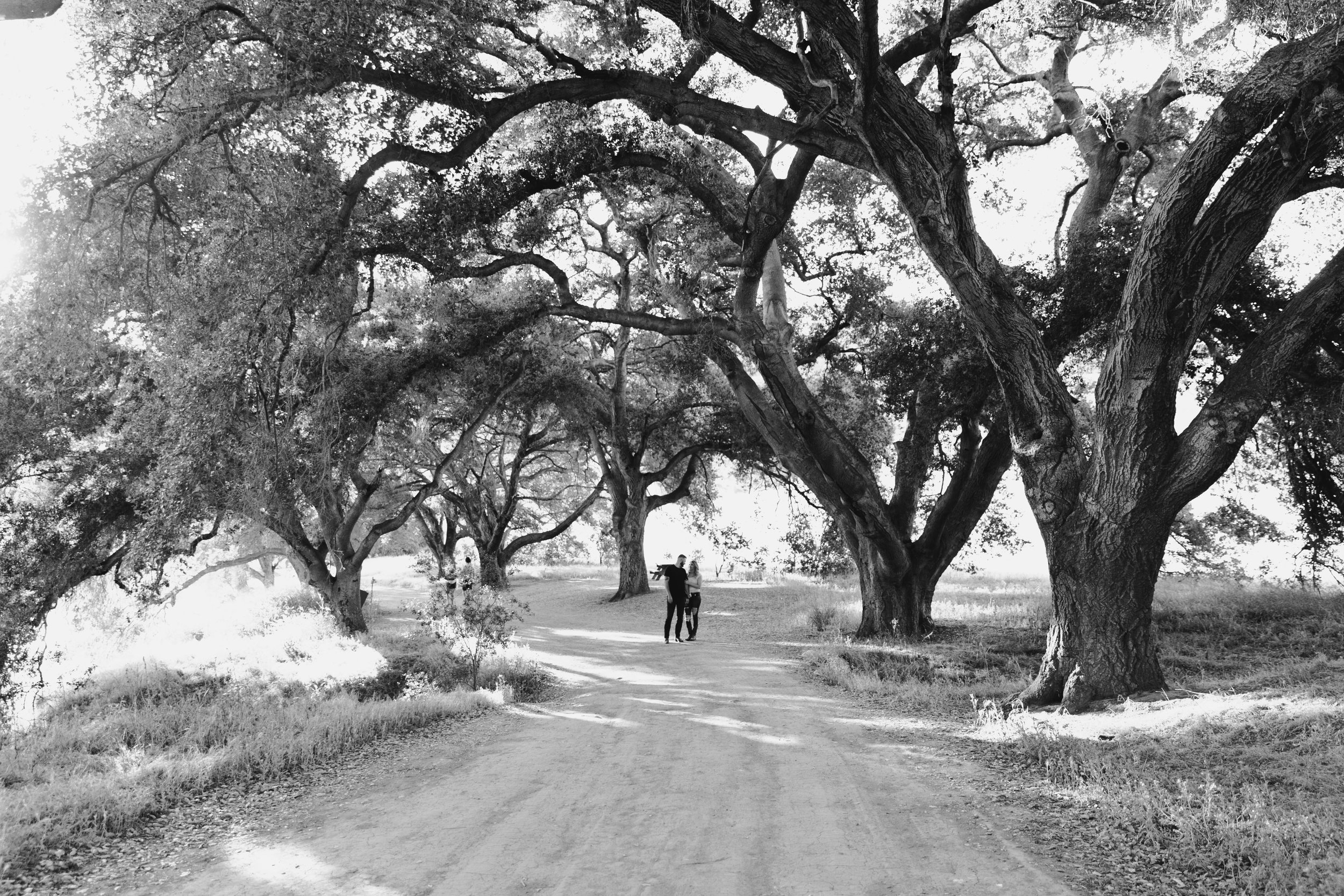 Malibu engagement photographer, SoCal engagement photographer, Southern California engagement photographer, Los Angeles engagement photographer, Malibu Creek State Park engagement shoot, Paradise Cove