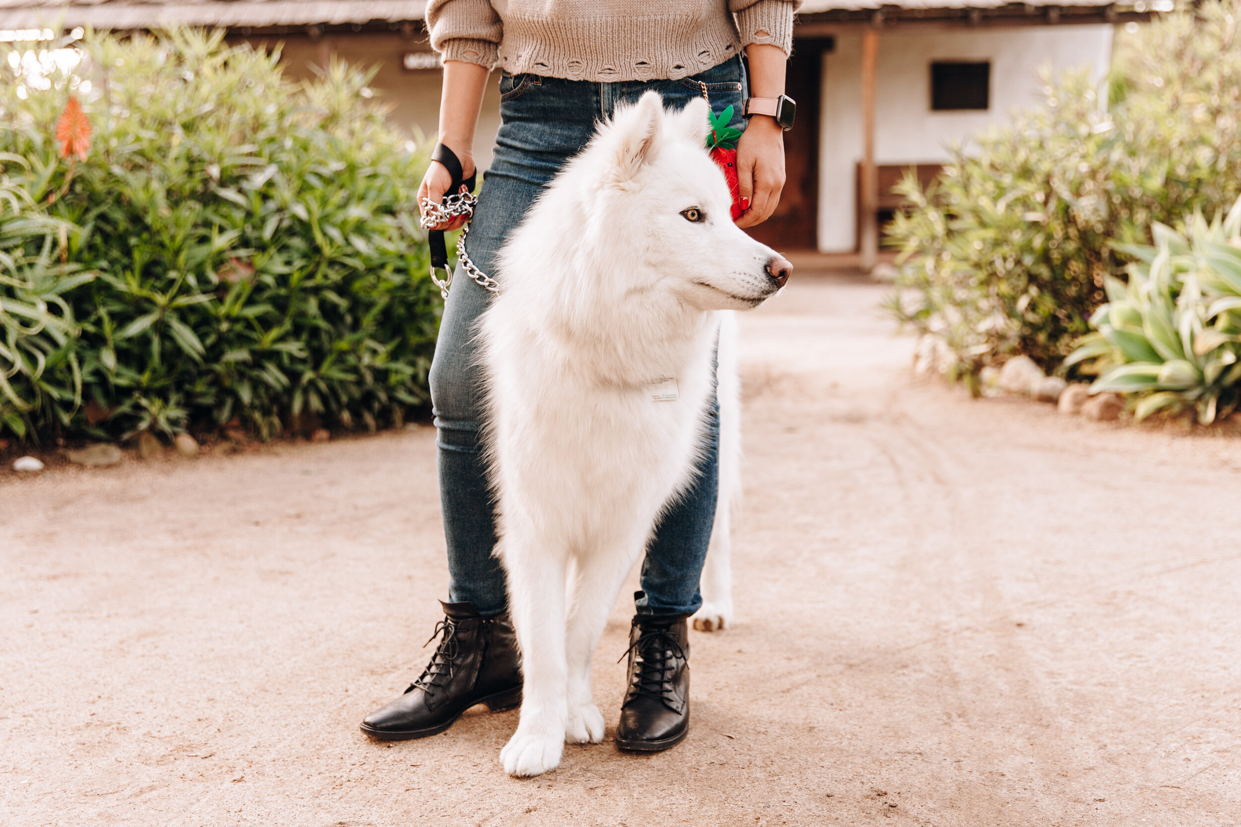 Orange County Photographer, OC Photographer, Orange County Engagement Session, San Juan Engagement session, In N Out engagement session, Southern California Photographer, SoCal Engagement Photographer