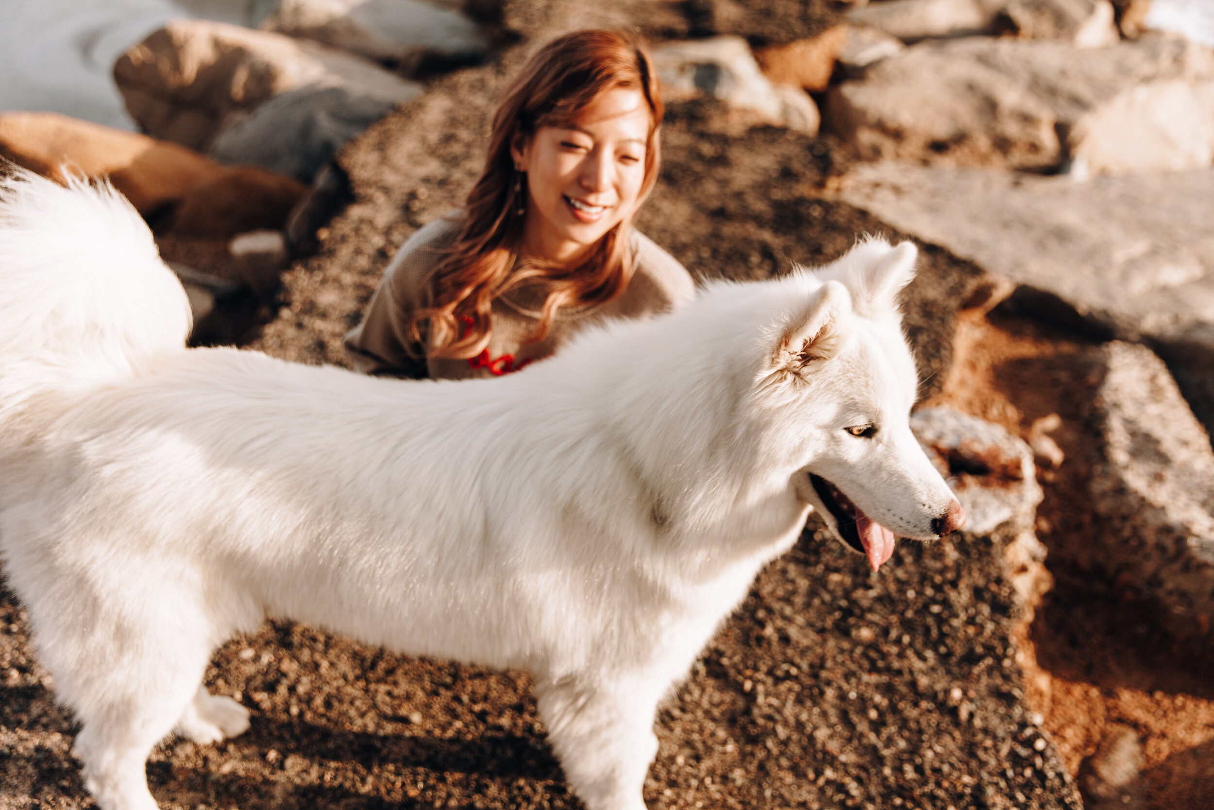 Orange County Photographer, OC Photographer, Orange County Engagement Session, San Juan Engagement session, In N Out engagement session, Southern California Photographer, SoCal Engagement Photographer