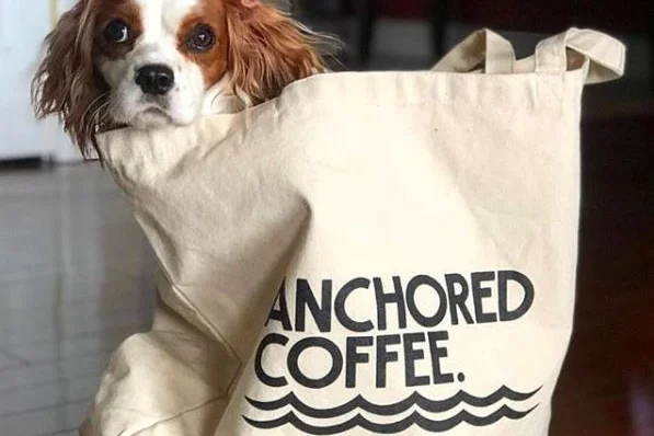 anchored tote.JPG